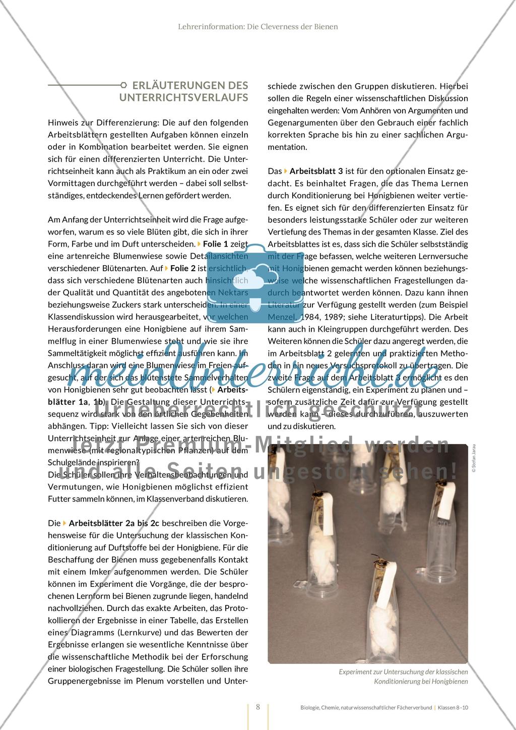 Die Cleverness der Bienen – Wie Bienen lernen Preview 8