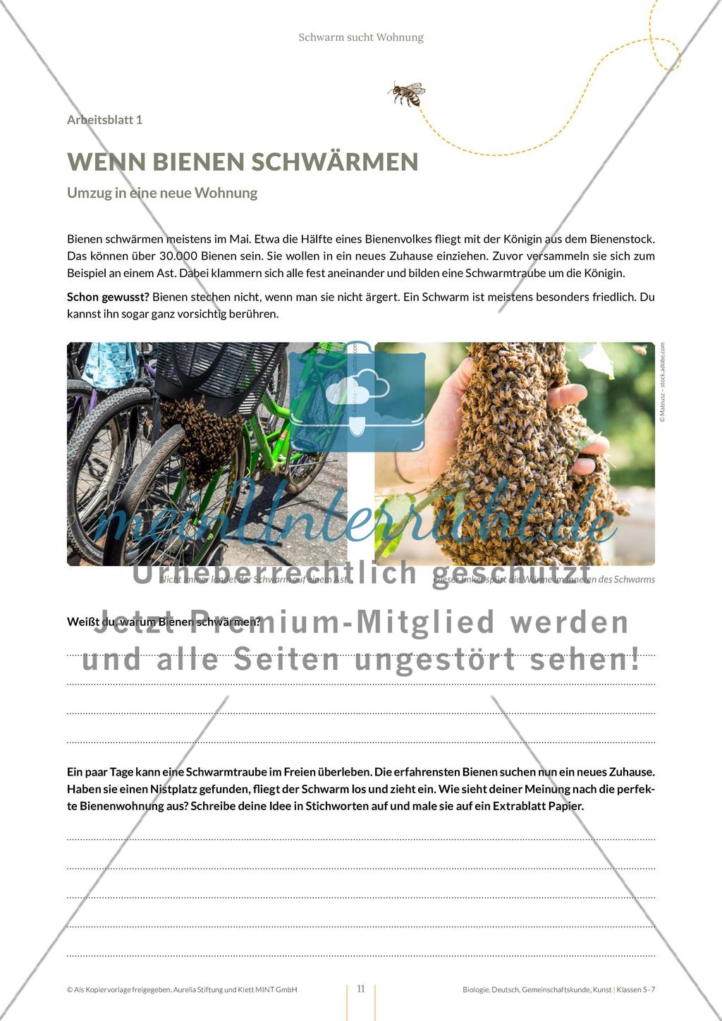 Schwarm sucht Wohnung – Schwarmintelligenz spielerisch erleben Preview 11