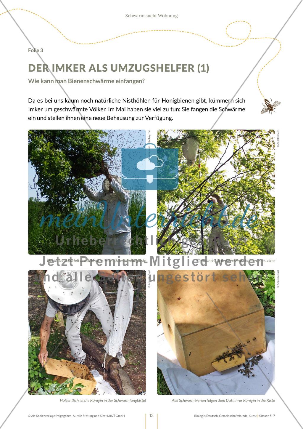 Schwarm sucht Wohnung – Schwarmintelligenz spielerisch erleben Preview 13