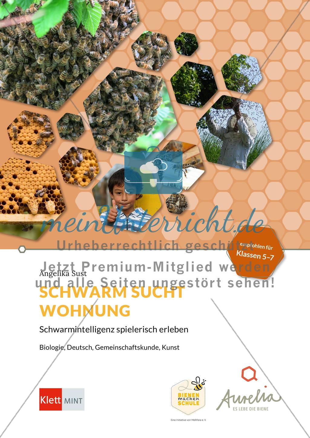 Schwarm sucht Wohnung – Schwarmintelligenz spielerisch erleben Preview 1