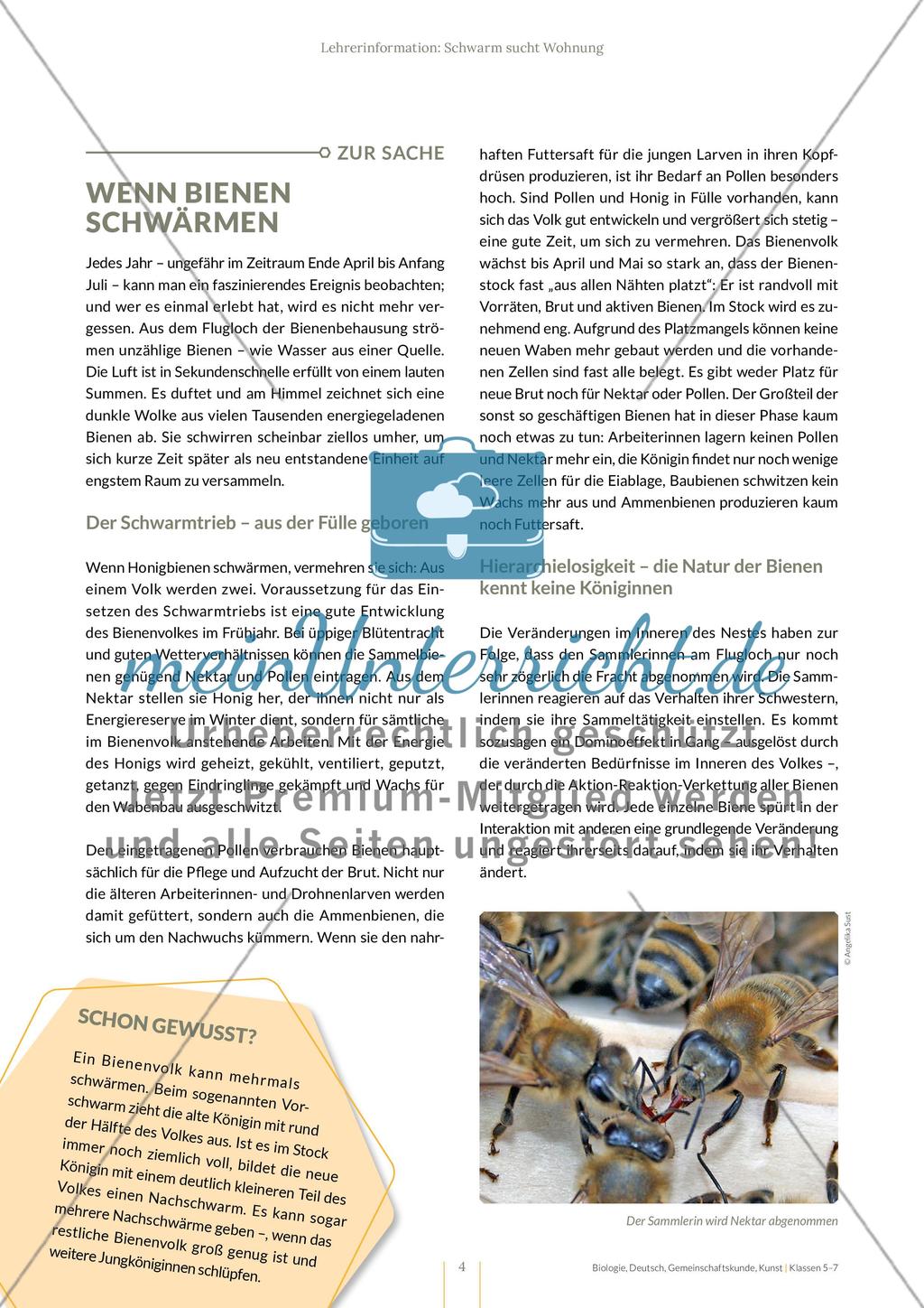 Schwarm sucht Wohnung – Schwarmintelligenz spielerisch erleben Preview 4