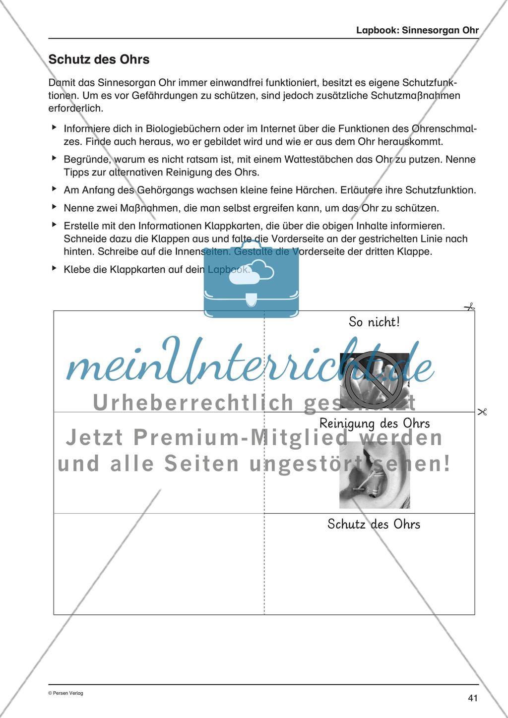 Lapbook: Sinnesorgan Ohr Preview 2