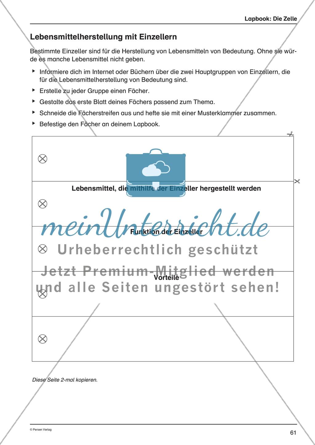 Lapbook: Die Zelle Preview 10
