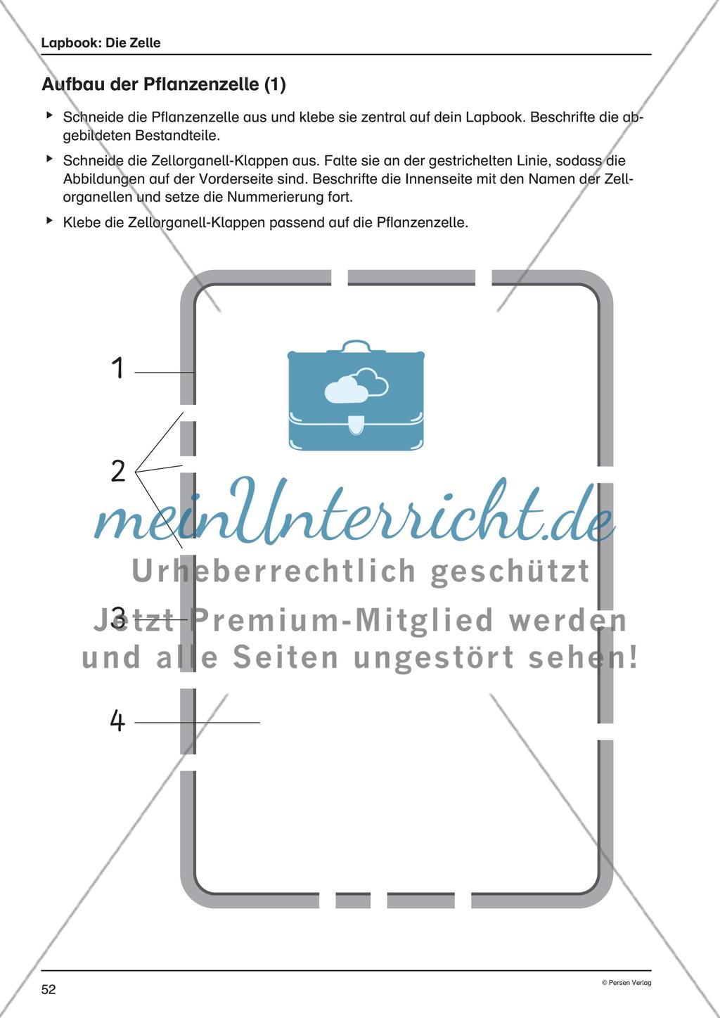 Lapbook: Die Zelle Preview 1