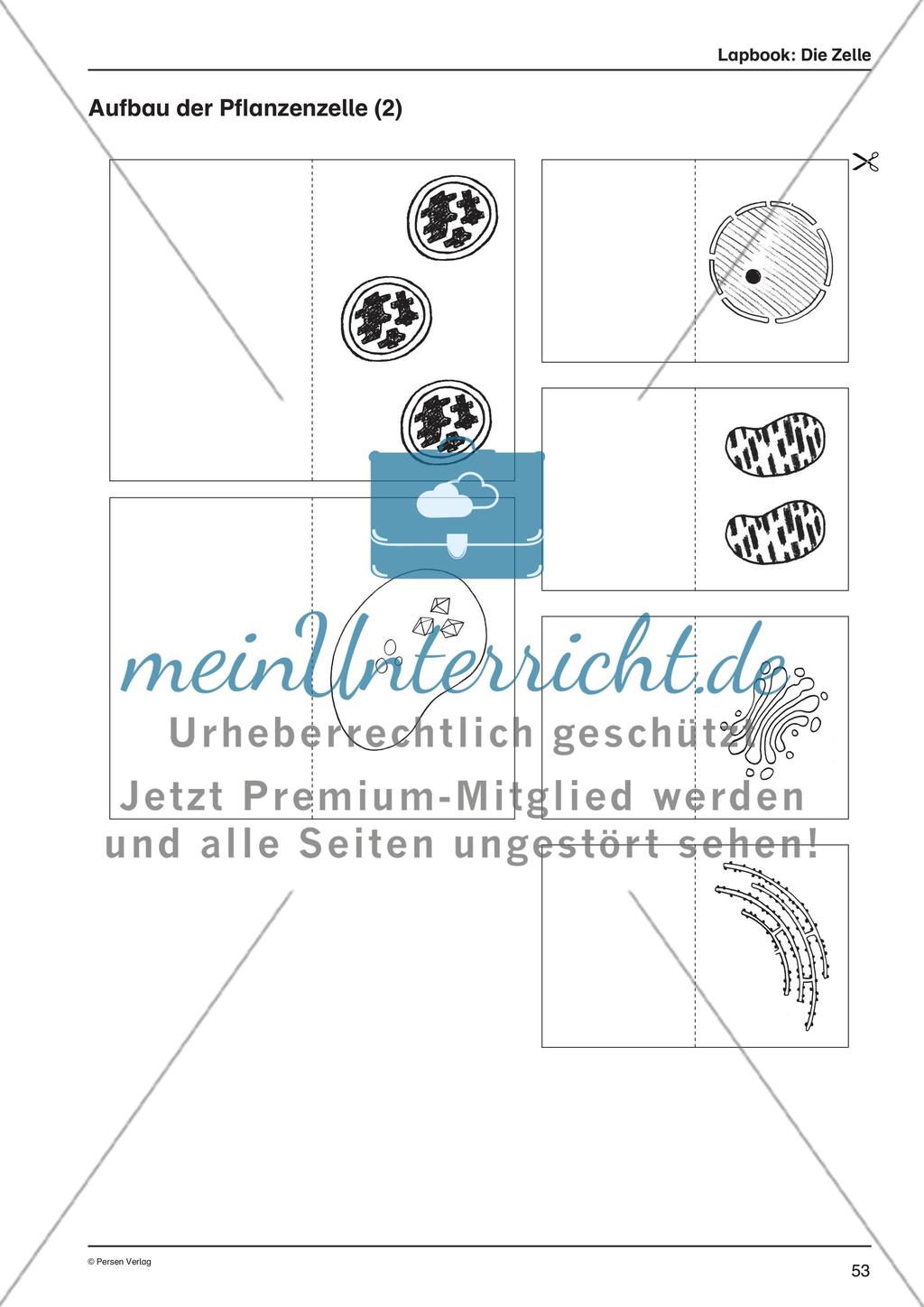 Lapbook: Die Zelle Preview 2