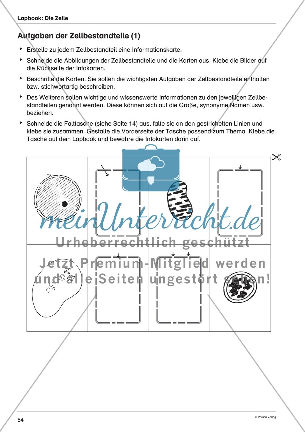 Lapbook: Die Zelle Preview 3