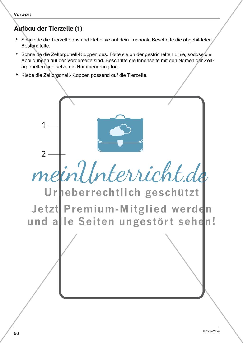Lapbook: Die Zelle Preview 5
