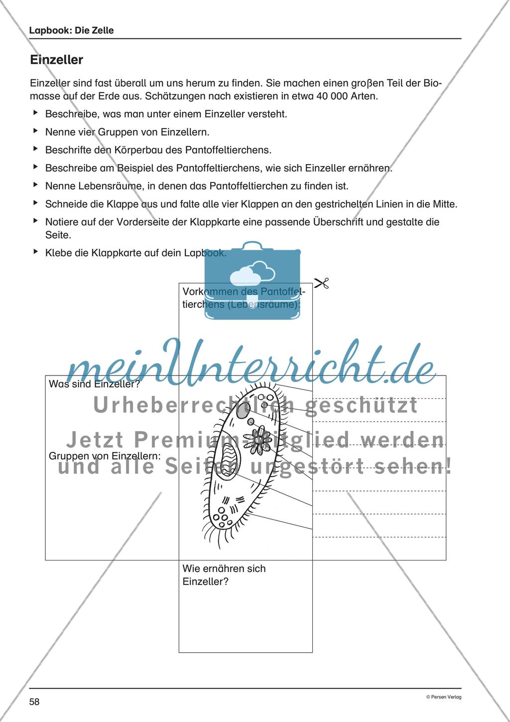 Lapbook: Die Zelle Preview 7