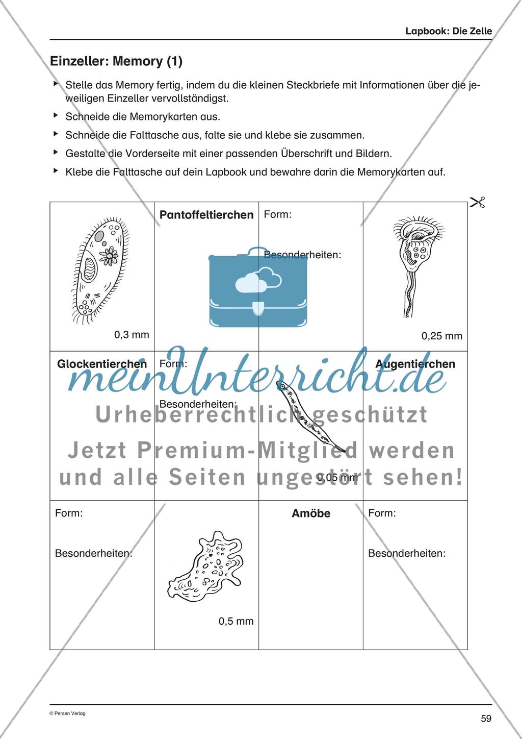 Lapbook: Die Zelle Preview 8