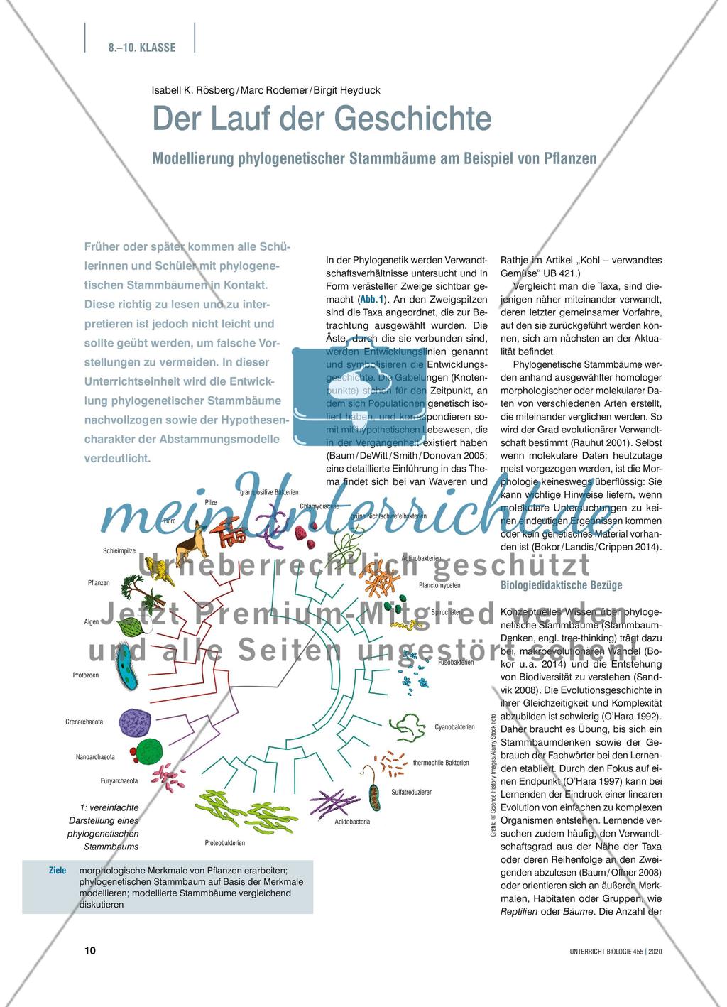 Der Lauf der Geschichte - Modellierung phylogenetischer Stammbäume am Beispiel von Pflanzen Preview 1