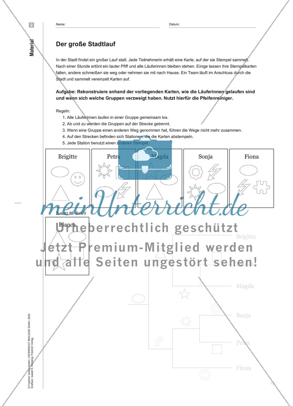 Der Lauf der Geschichte - Modellierung phylogenetischer Stammbäume am Beispiel von Pflanzen Preview 4