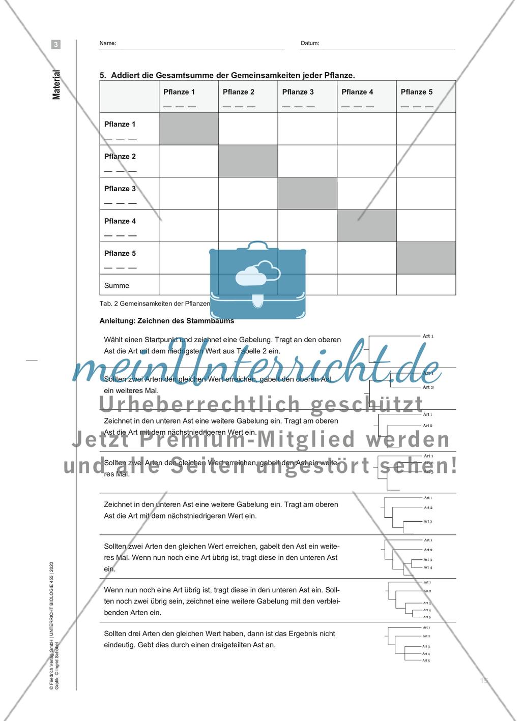 Der Lauf der Geschichte - Modellierung phylogenetischer Stammbäume am Beispiel von Pflanzen Preview 6