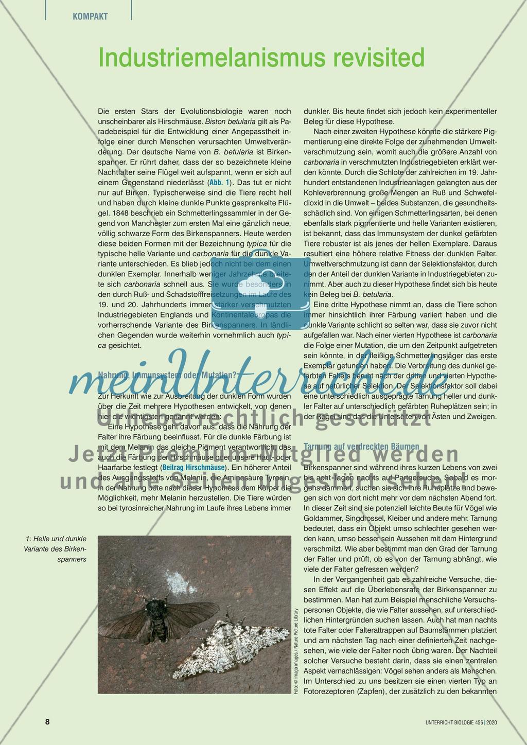 Industriemelanismus revisited Preview 1