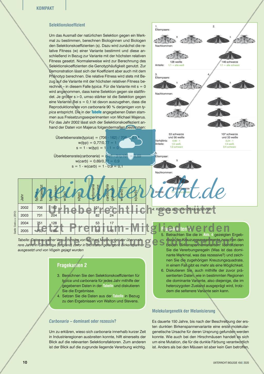 Industriemelanismus revisited Preview 3