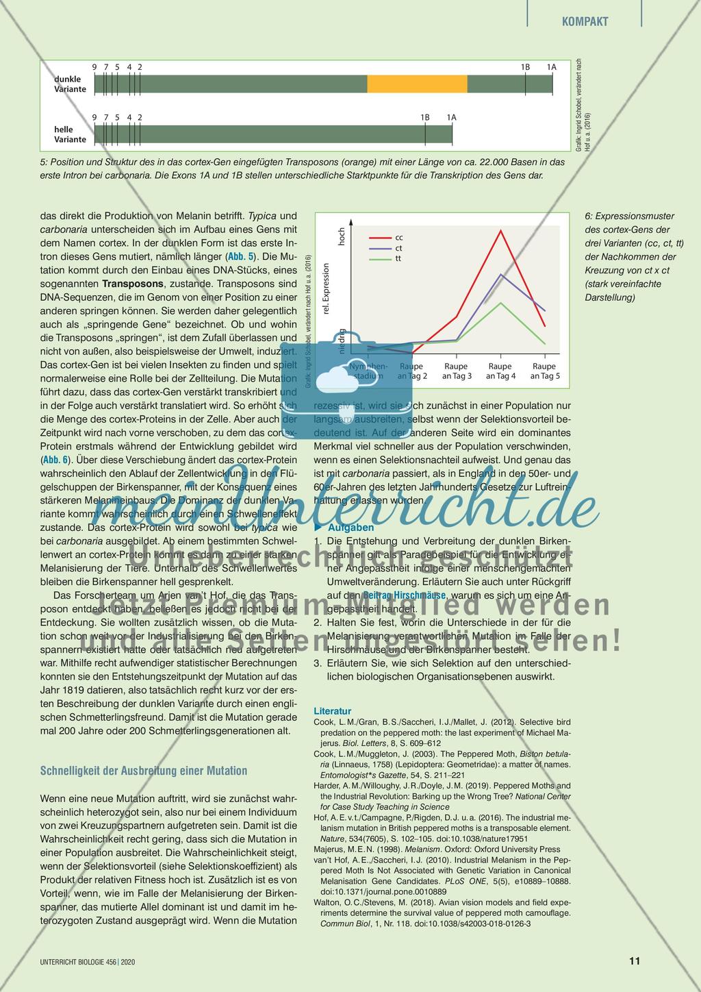 Industriemelanismus revisited Preview 4