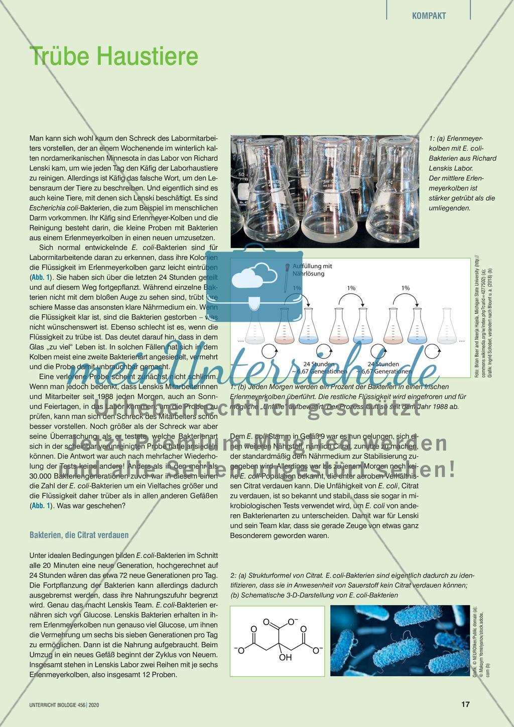 Trübe Haustiere Preview 1