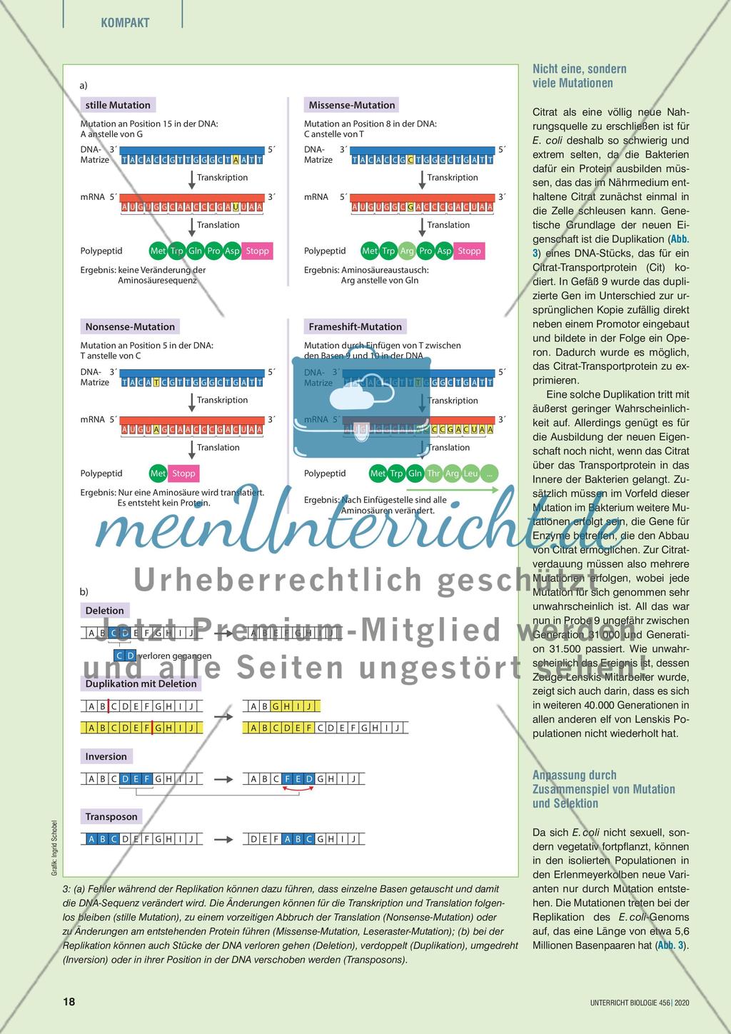 Trübe Haustiere Preview 2