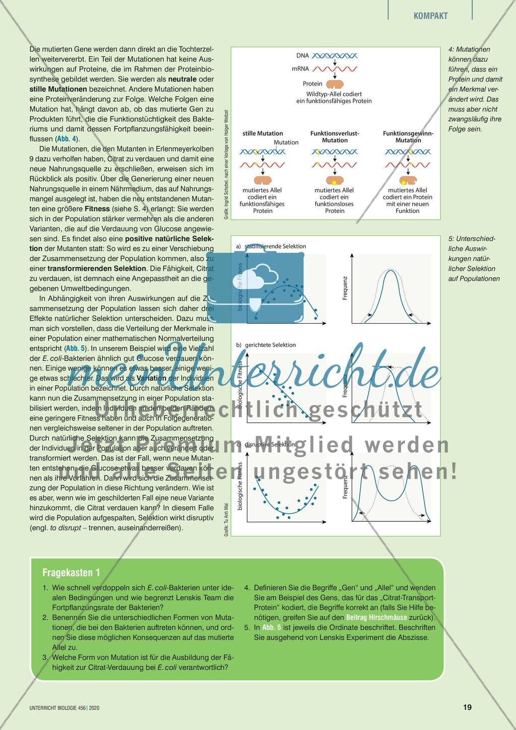 Trübe Haustiere Preview 3