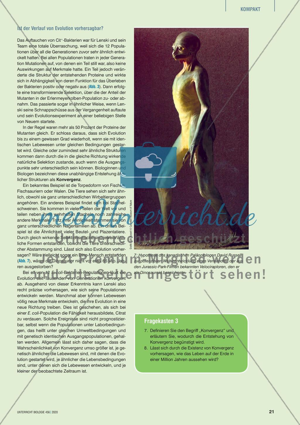 Trübe Haustiere Preview 5