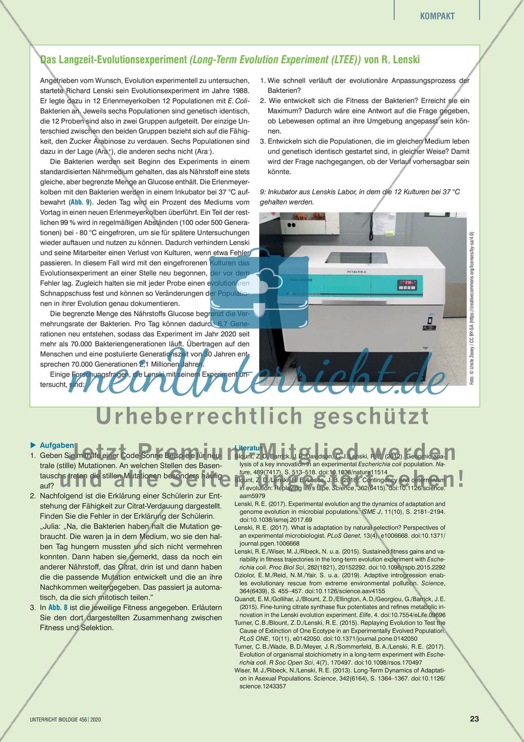 Trübe Haustiere Preview 7