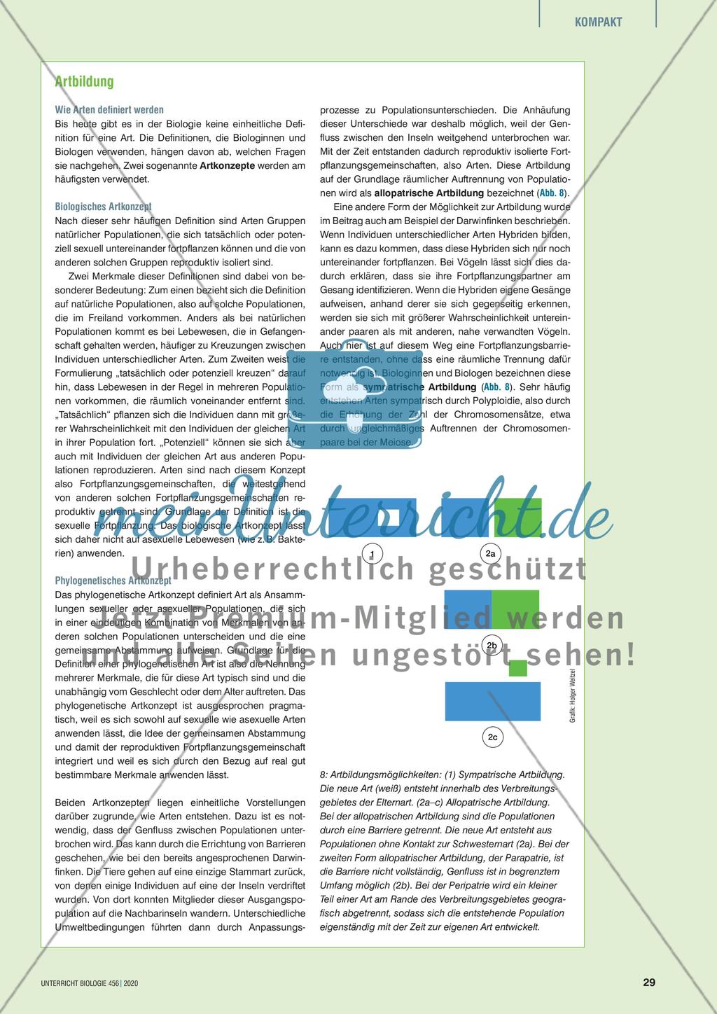 Killifische – Anpassung an menschengemachte Umweltveränderungen? Preview 6
