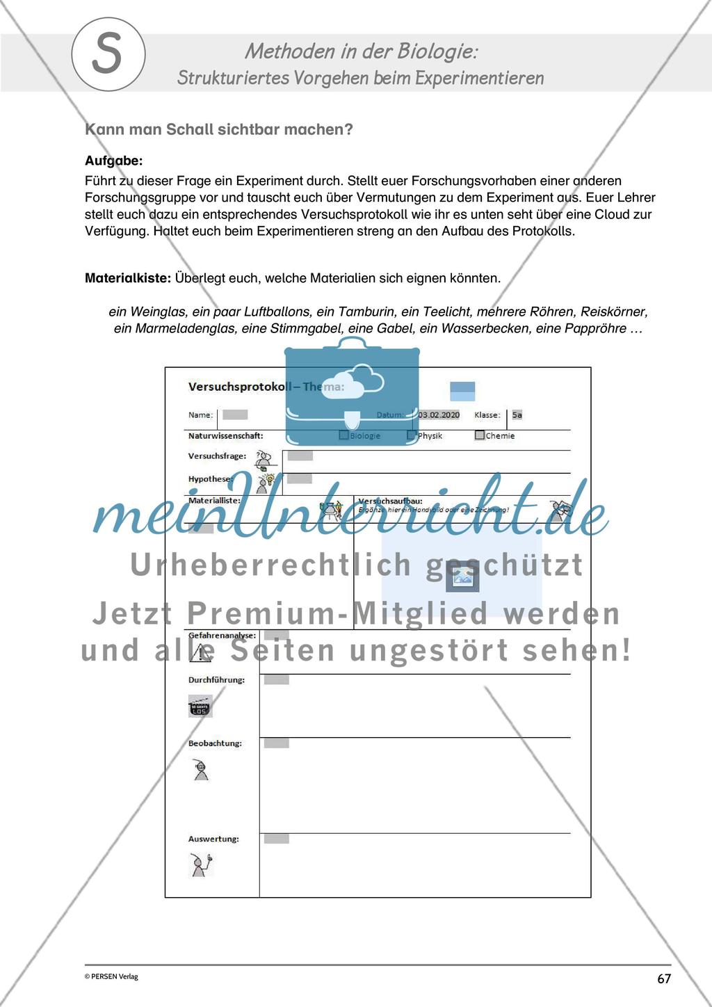 Digitaler Unterricht: Biologie - Teil 4 Preview 13