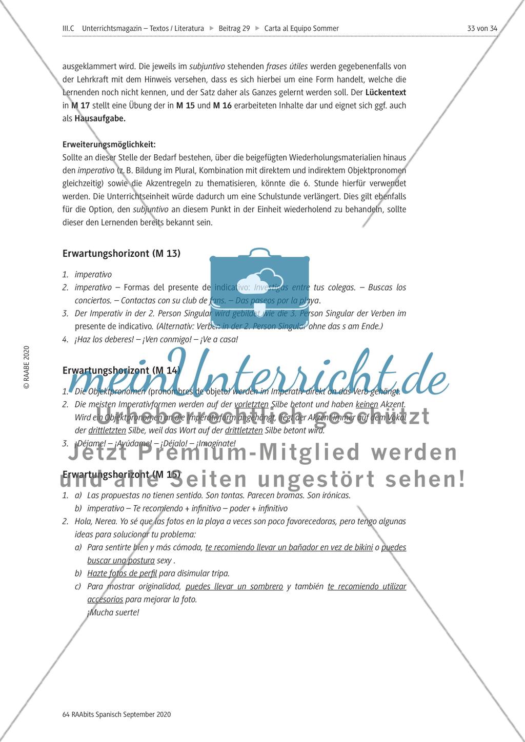 Carta al Equipo Sommer Preview 33