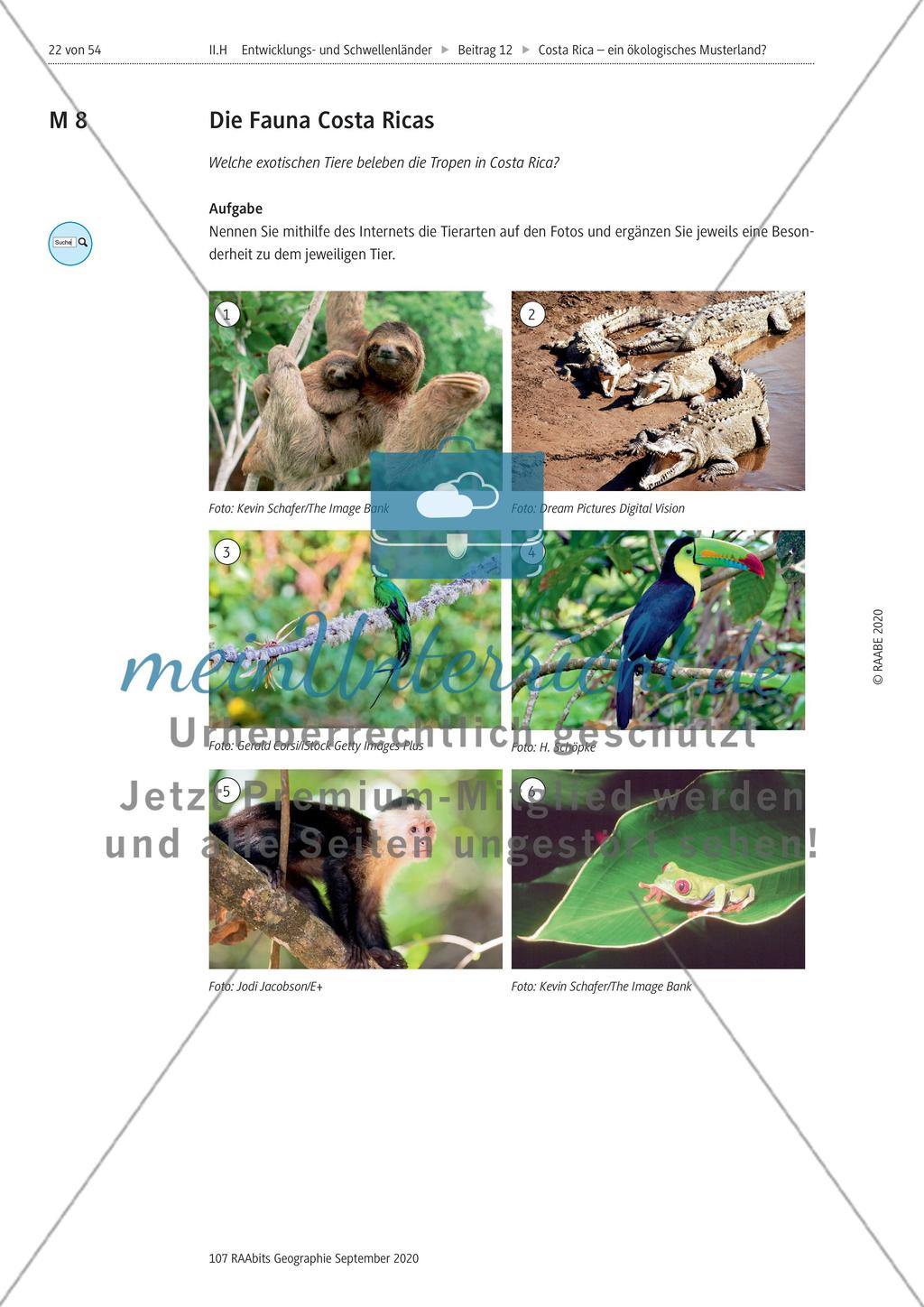 Costa Rica Preview 22