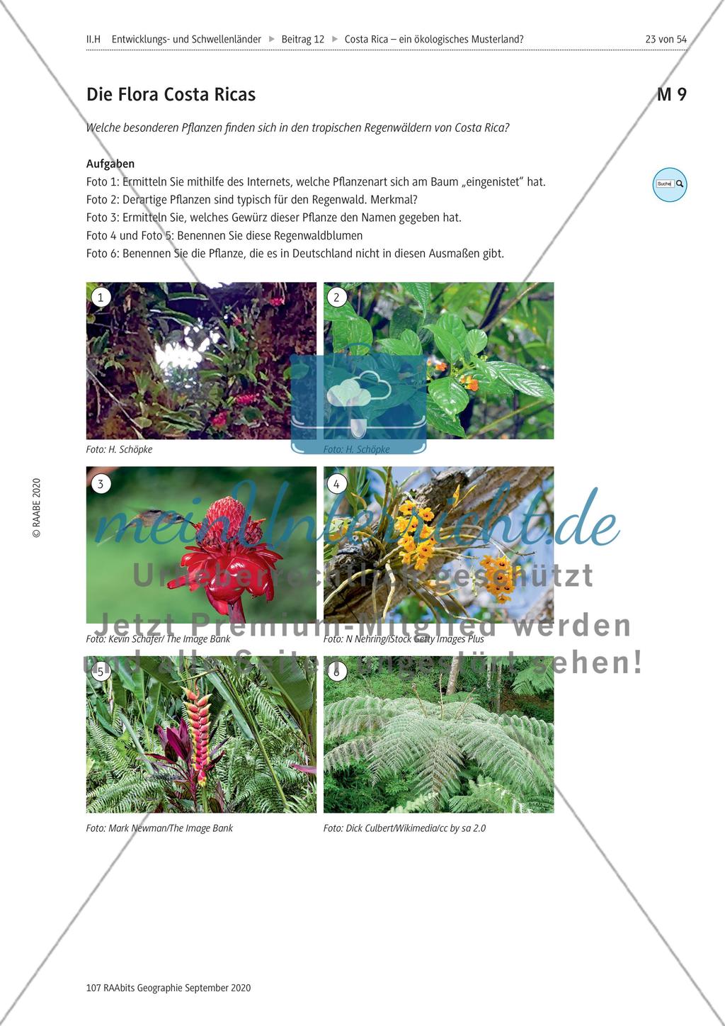 Costa Rica Preview 23