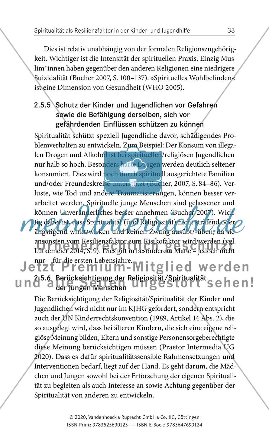 Spiritualität als Resilienz- oder Risikofaktor - Ein unverzichtbarer Teil der Kinder- und Jugendhilfe - Teil 1 Preview 8
