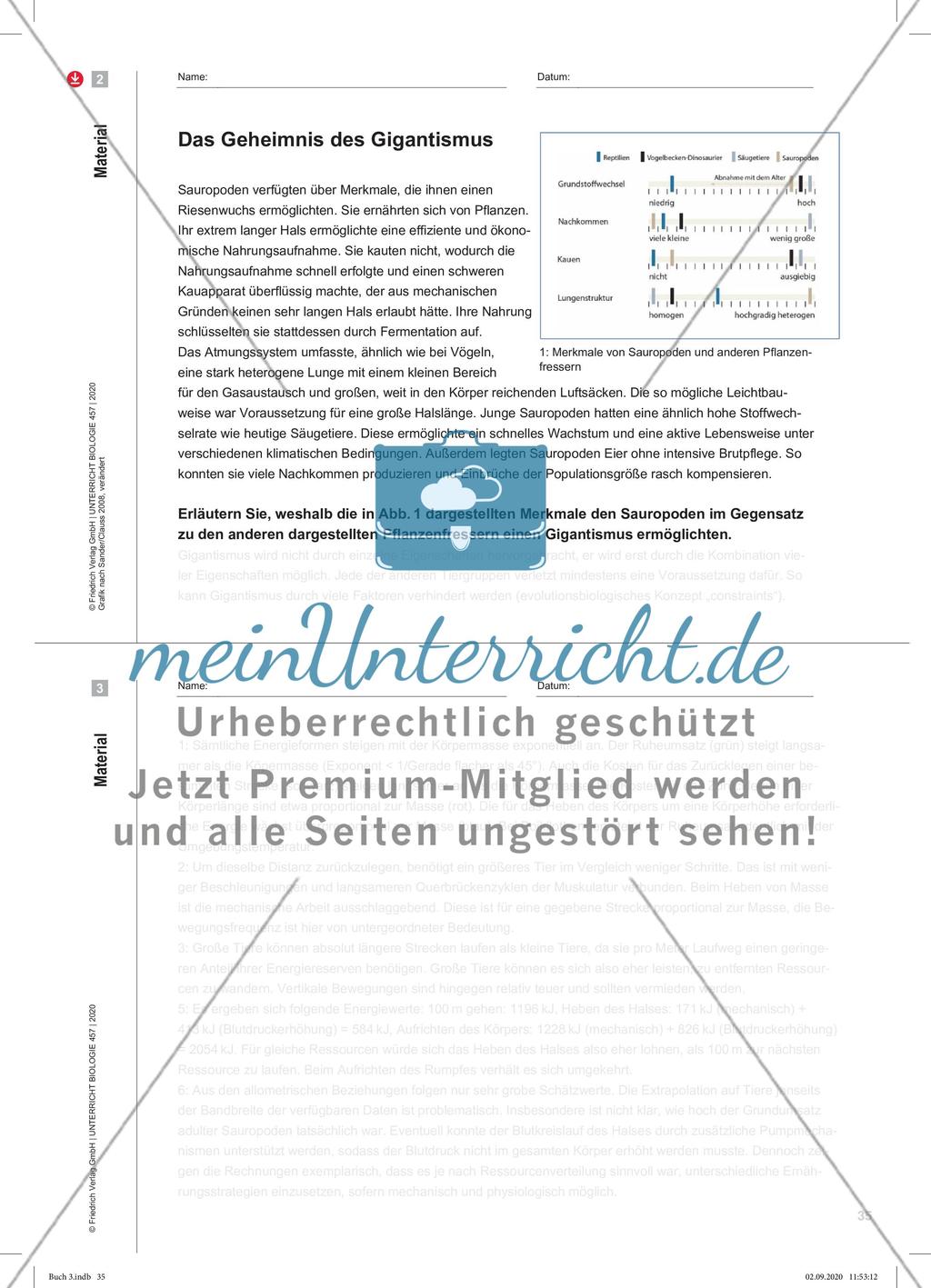 Giganten mit Riesenappetit Preview 4