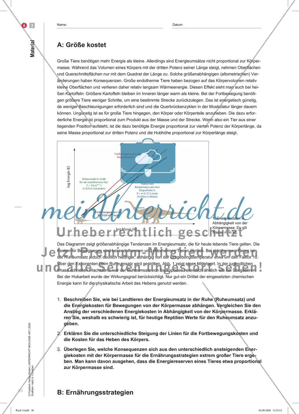 Giganten mit Riesenappetit Preview 5