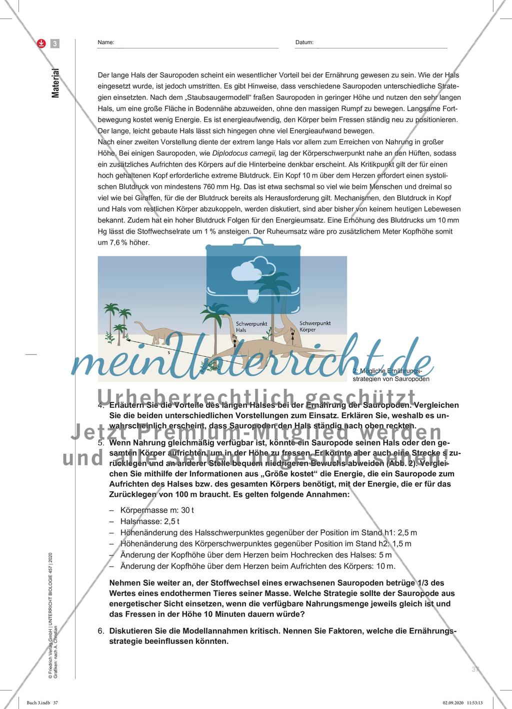Giganten mit Riesenappetit Preview 6