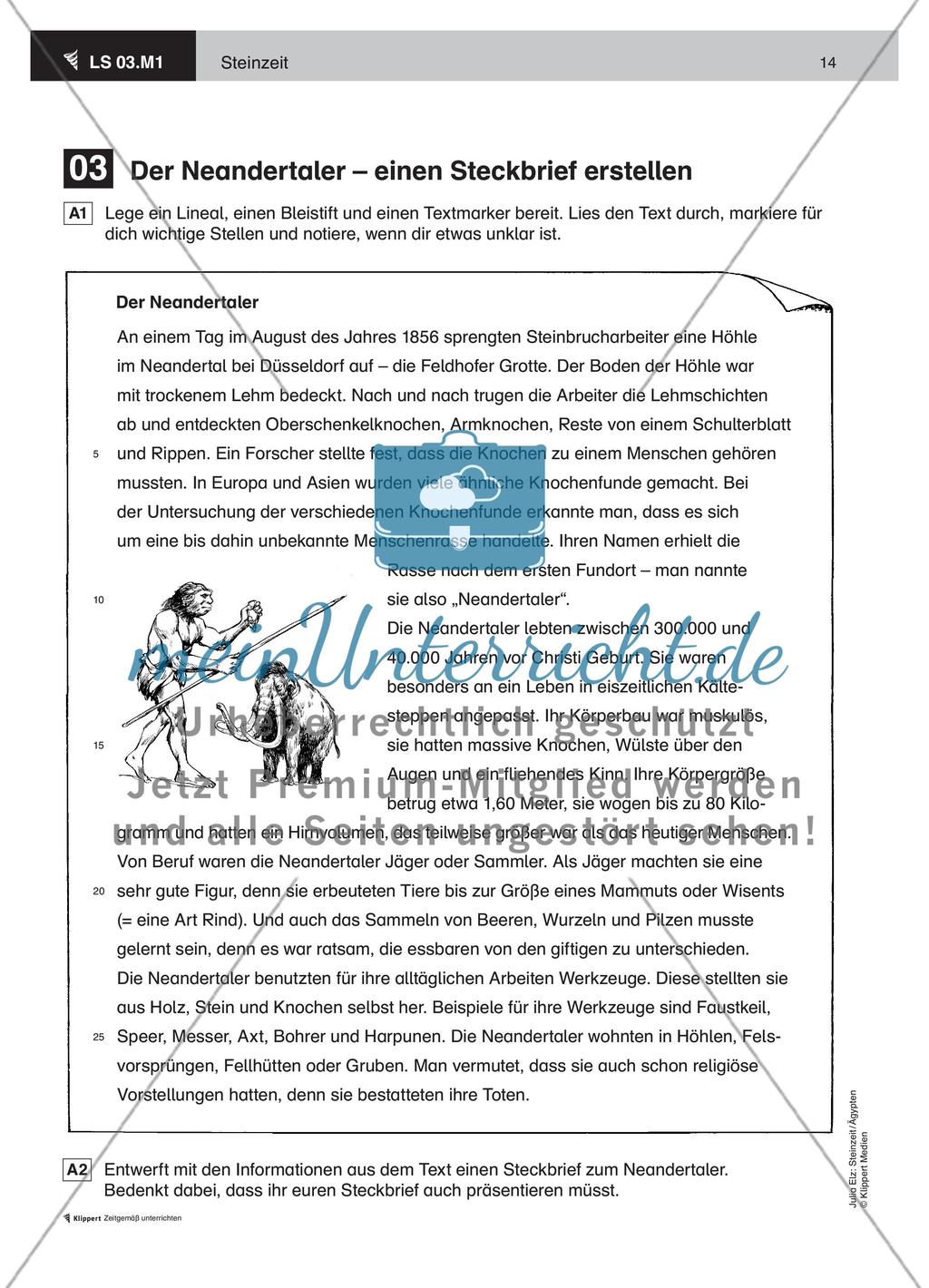 Steinzeit Teil 1 meinUnterricht