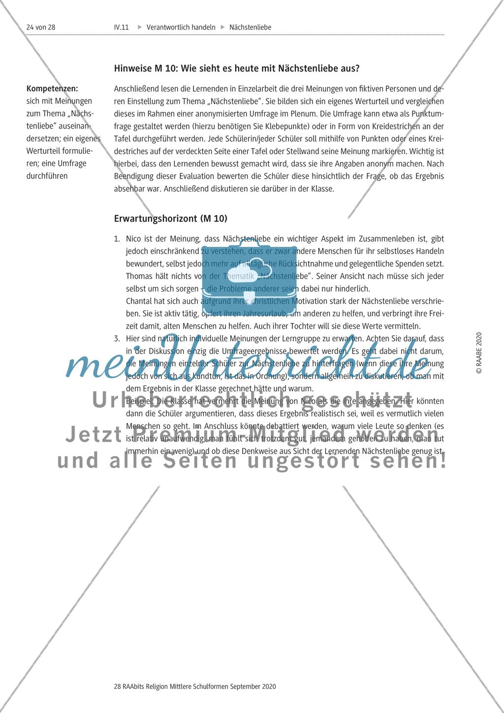 Berühmte Vorbilder Preview 7