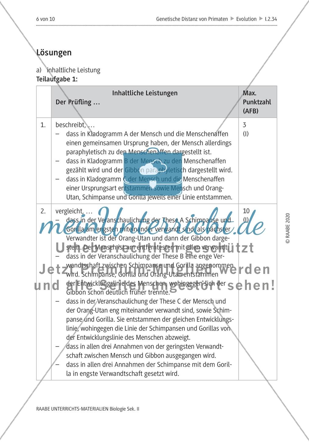 Bestimmung der genetischen Distanz von Primaten Preview 10