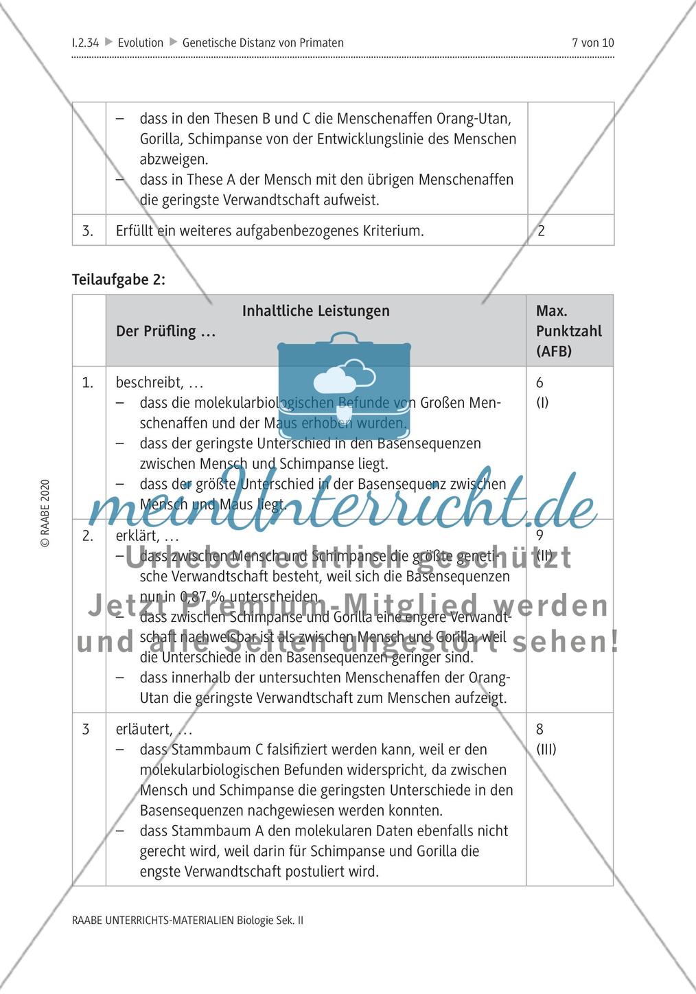 Bestimmung der genetischen Distanz von Primaten Preview 11