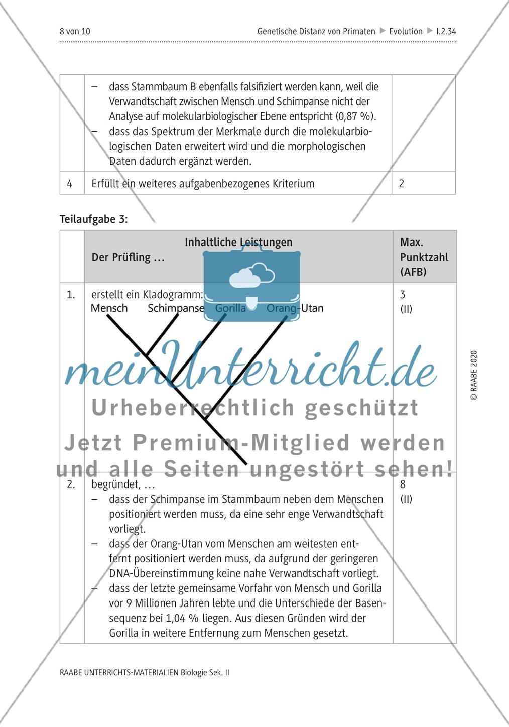 Bestimmung der genetischen Distanz von Primaten Preview 12