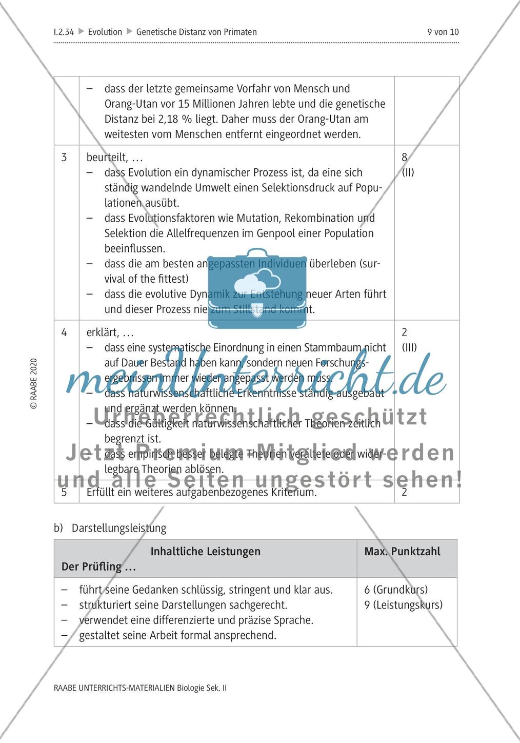 Bestimmung der genetischen Distanz von Primaten Preview 13