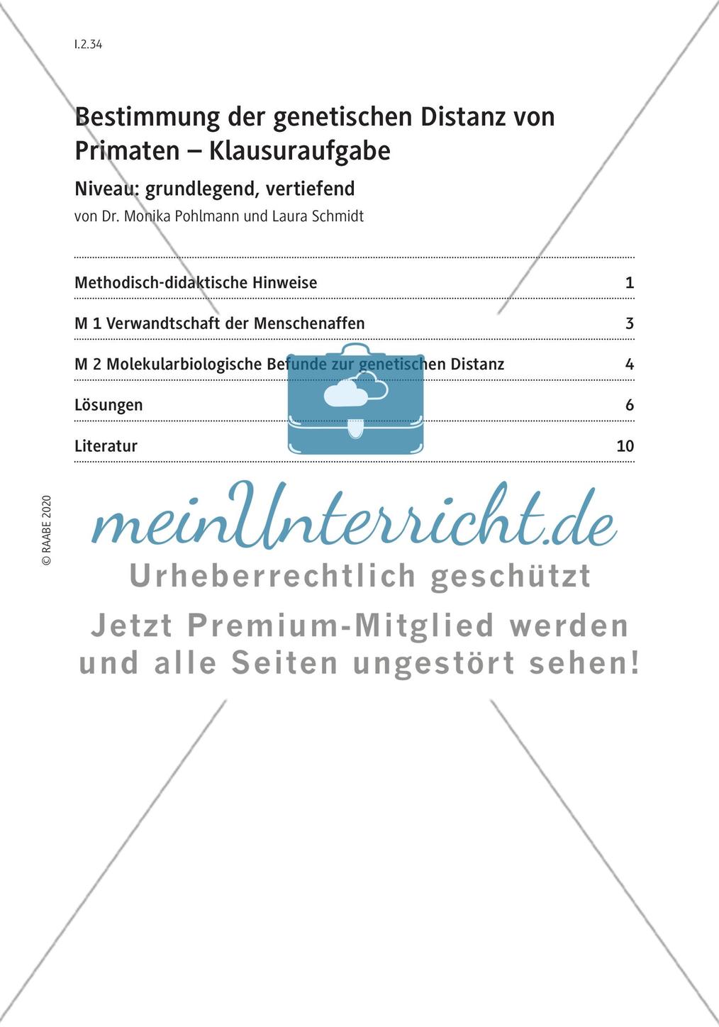 Bestimmung der genetischen Distanz von Primaten Preview 3