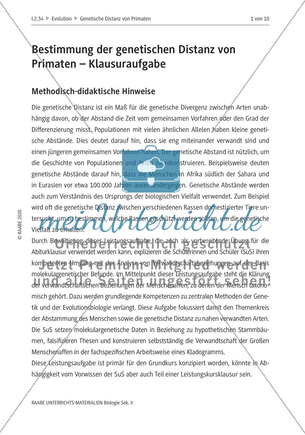 Bestimmung der genetischen Distanz von Primaten Preview 5