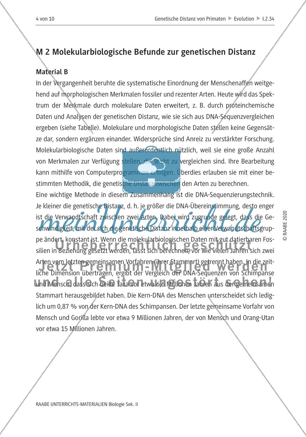 Bestimmung der genetischen Distanz von Primaten Preview 8