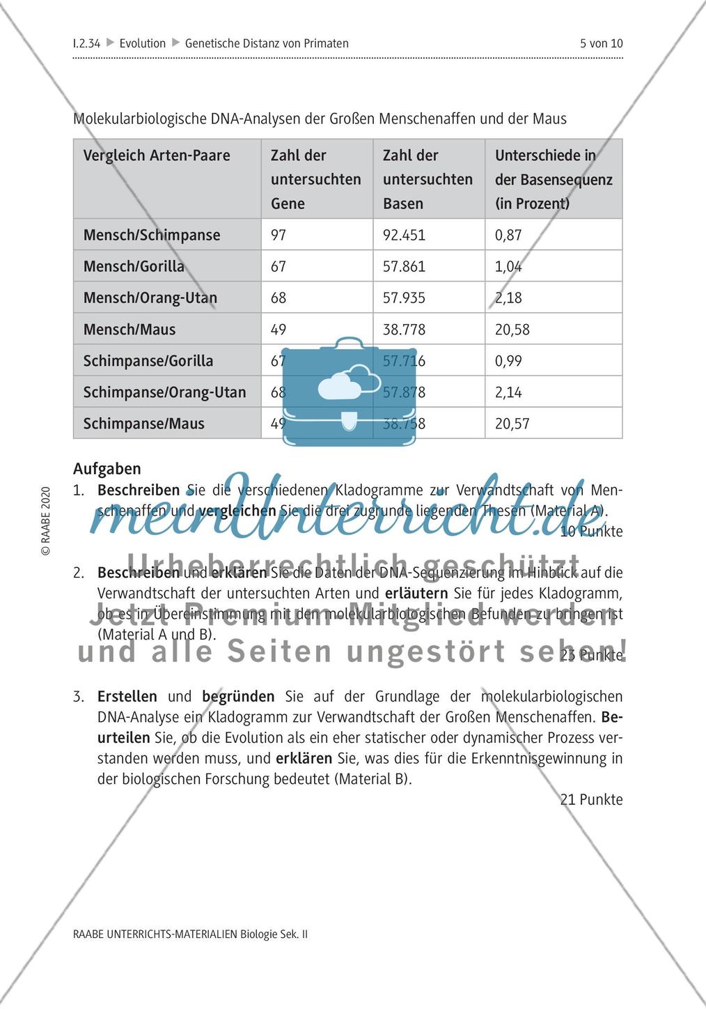 Bestimmung der genetischen Distanz von Primaten Preview 9