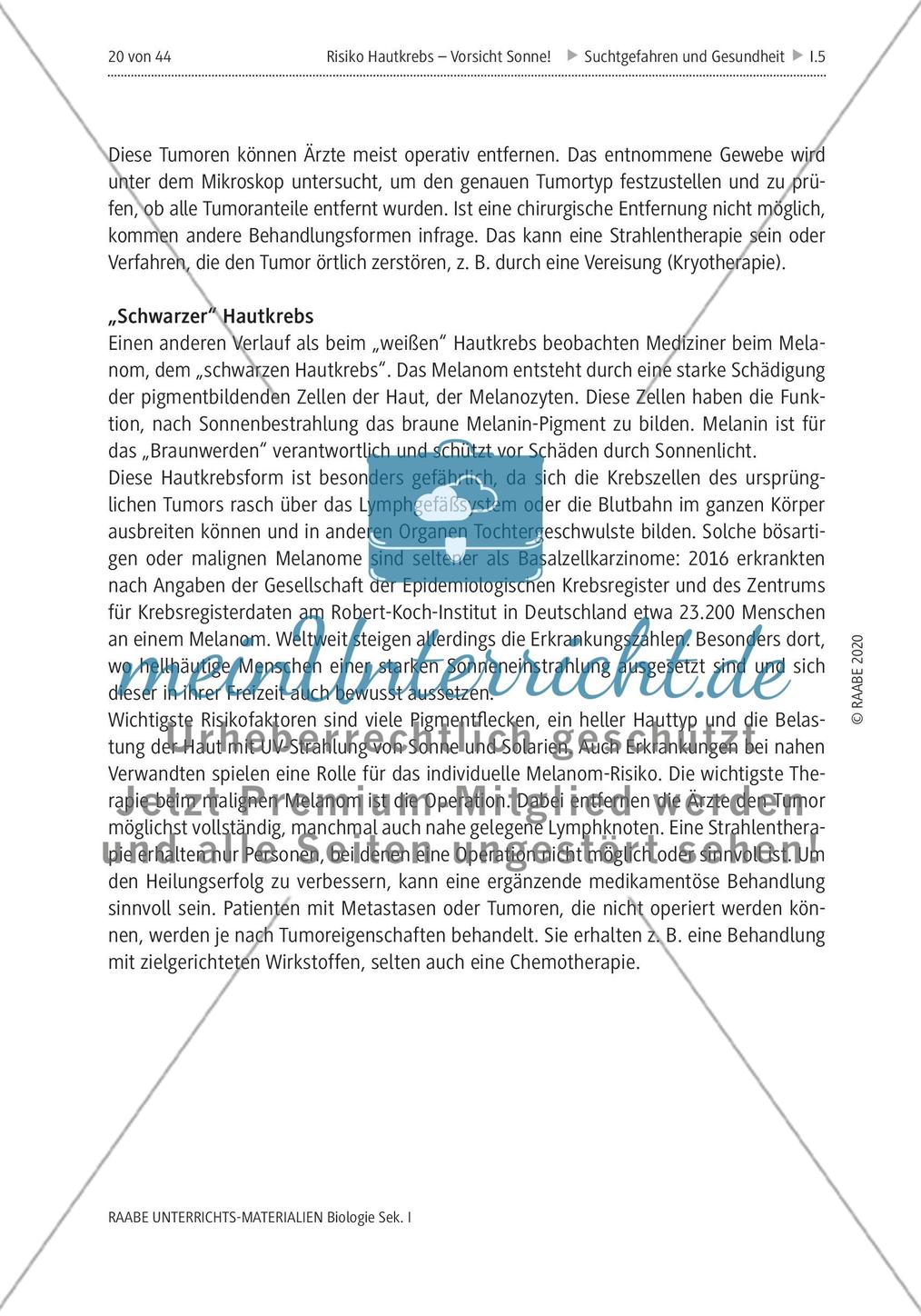 Risiko Hautkrebs - M4-M6 Preview 8
