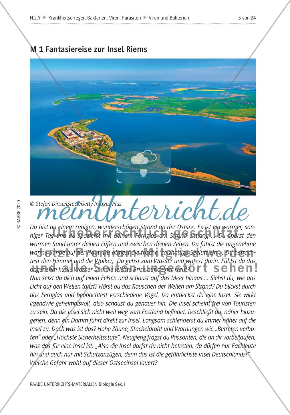 Viren und Bakterien - M1-M3 Preview 1