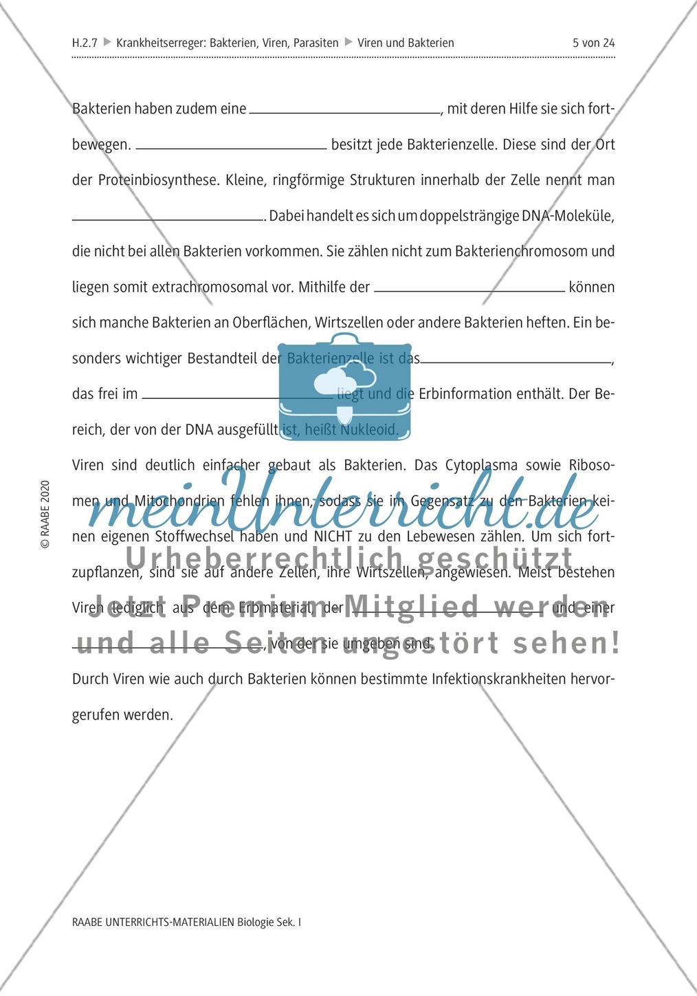 Viren und Bakterien - M1-M3 Preview 3