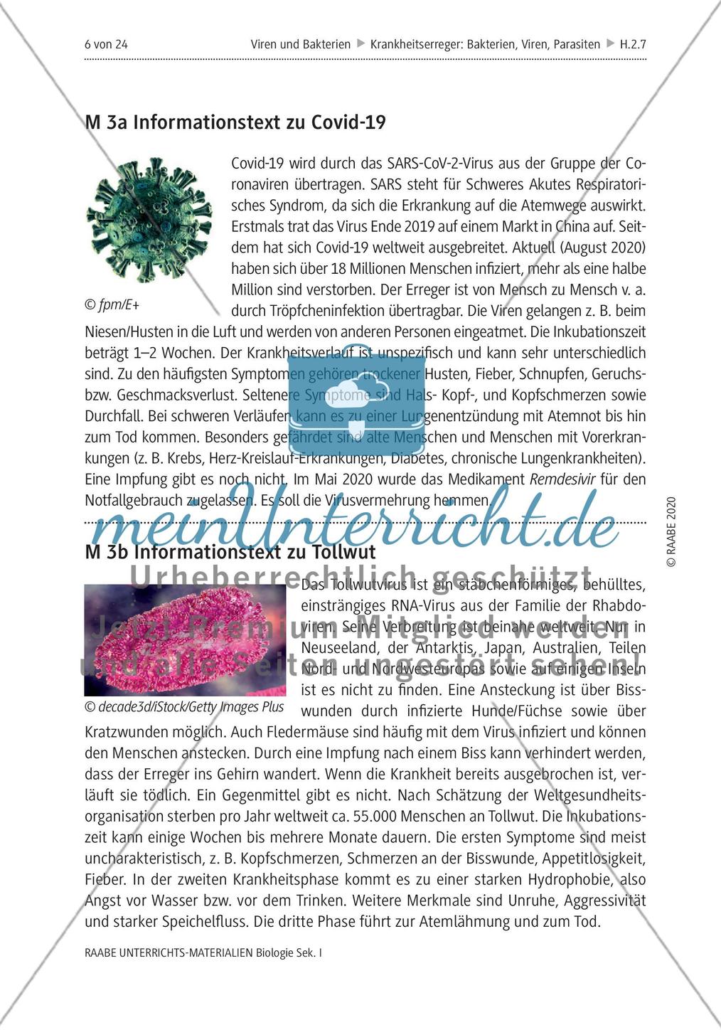 Viren und Bakterien - M1-M3 Preview 4