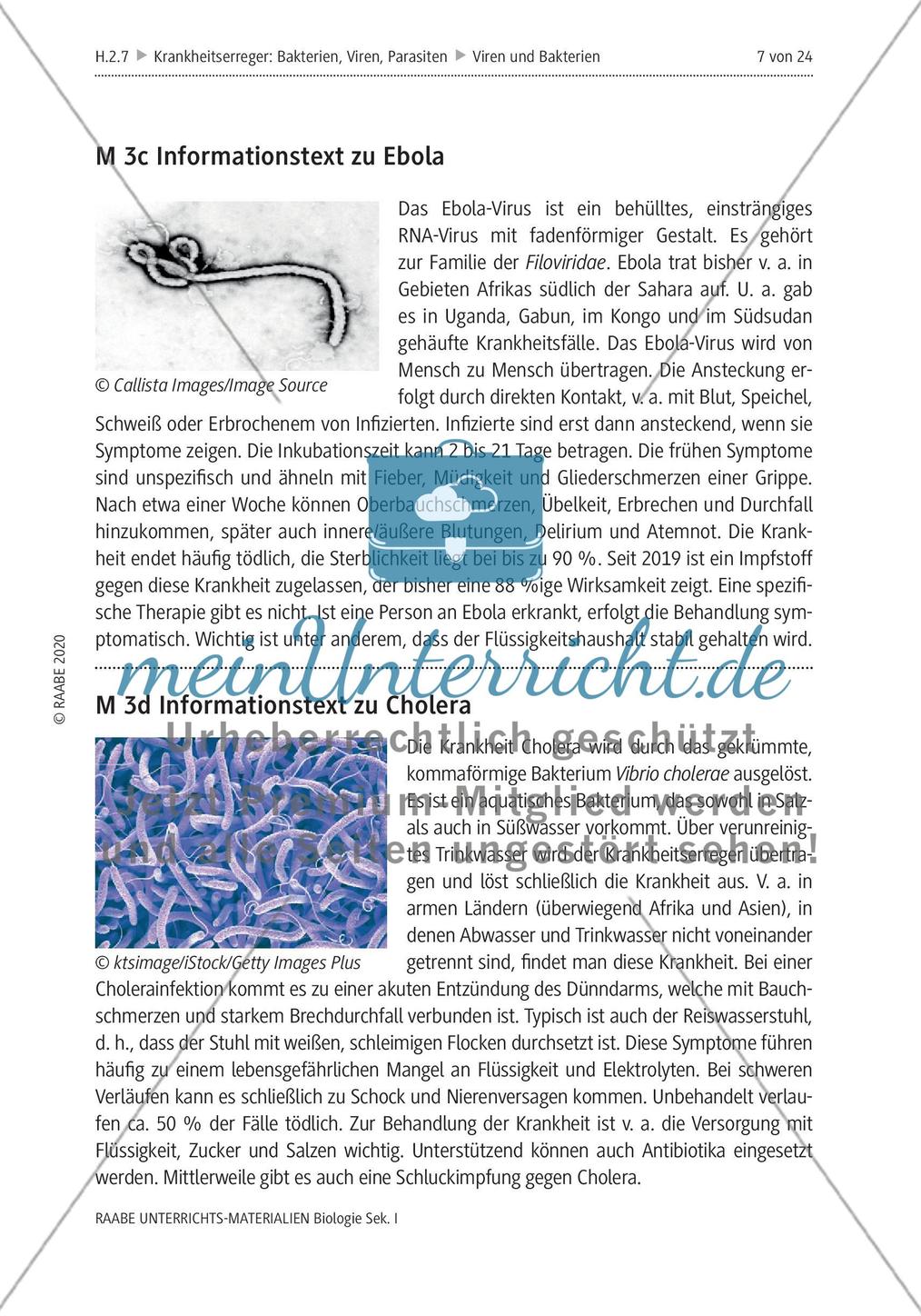 Viren und Bakterien - M1-M3 Preview 5