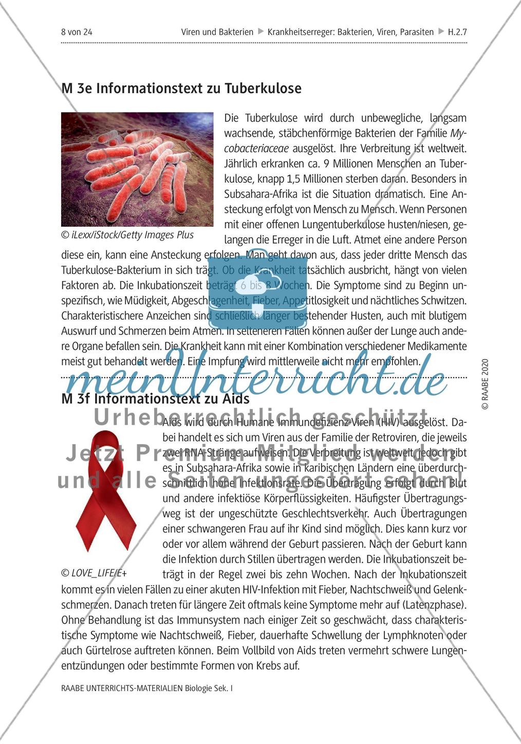Viren und Bakterien - M1-M3 Preview 6