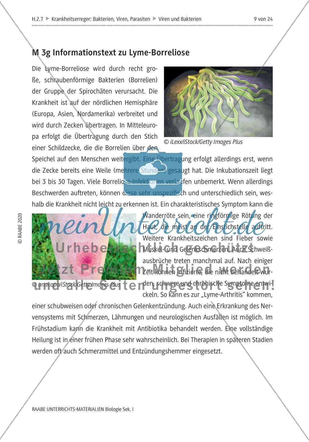 Viren und Bakterien - M1-M3 Preview 7